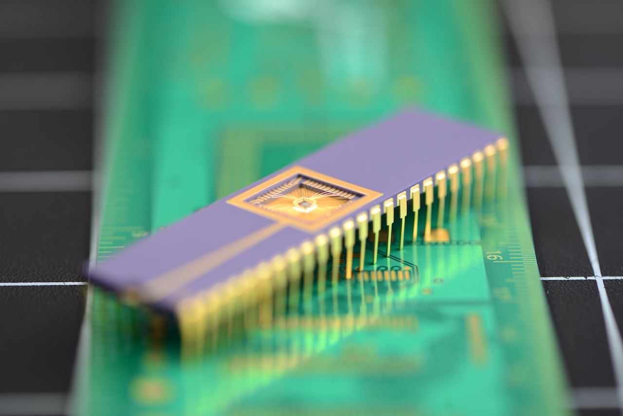 Chip f5.6.jpg