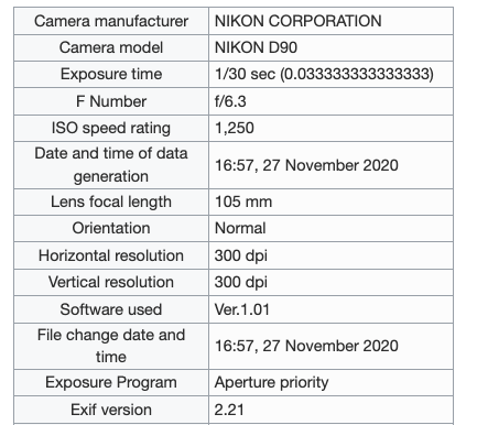 Exif example.png