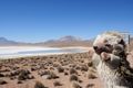 Scenery from Atacama, Chile. Using a very small aperture (f/29 to increase the depth of field