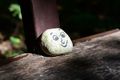 A cute stone left on a bench in the woods in great light, This one is with an APS-C camera. I can not stress enough how much the weight of the lens is a factor. This lens is the difference between taking your camera everywhere and leaving it at home because you do not want to carry it all day.