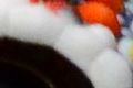 Thumbnail for version as of 18:00, 24 December 2020