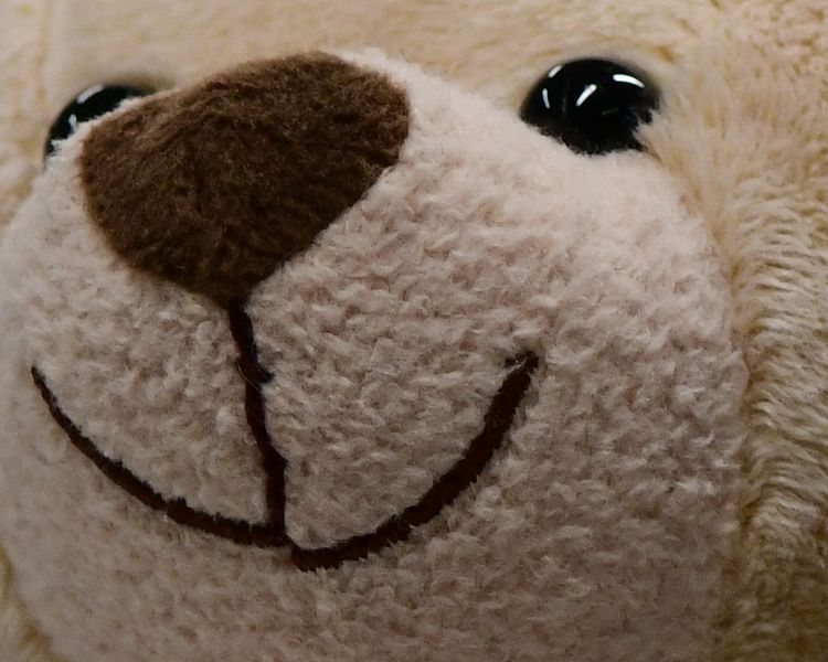 File:D850 crop.jpg